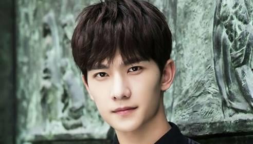 明星排名大全,揭秘娱乐圈风云变幻，盘点年度璀璨星辉